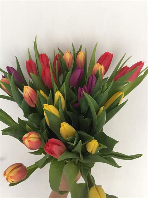 flowers delivered next day prime.